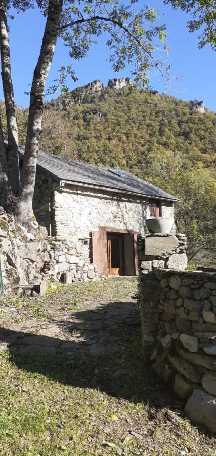 Grange Ancienne Aménagée