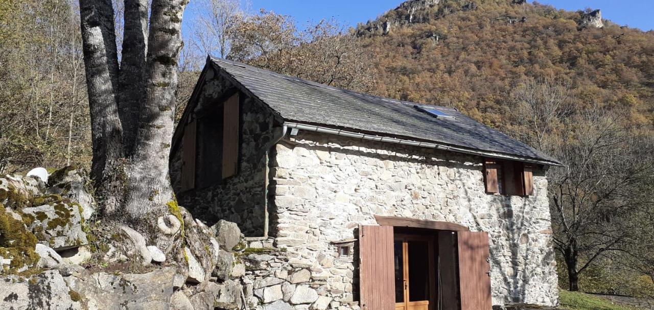 Grange Ancienne Aménagée